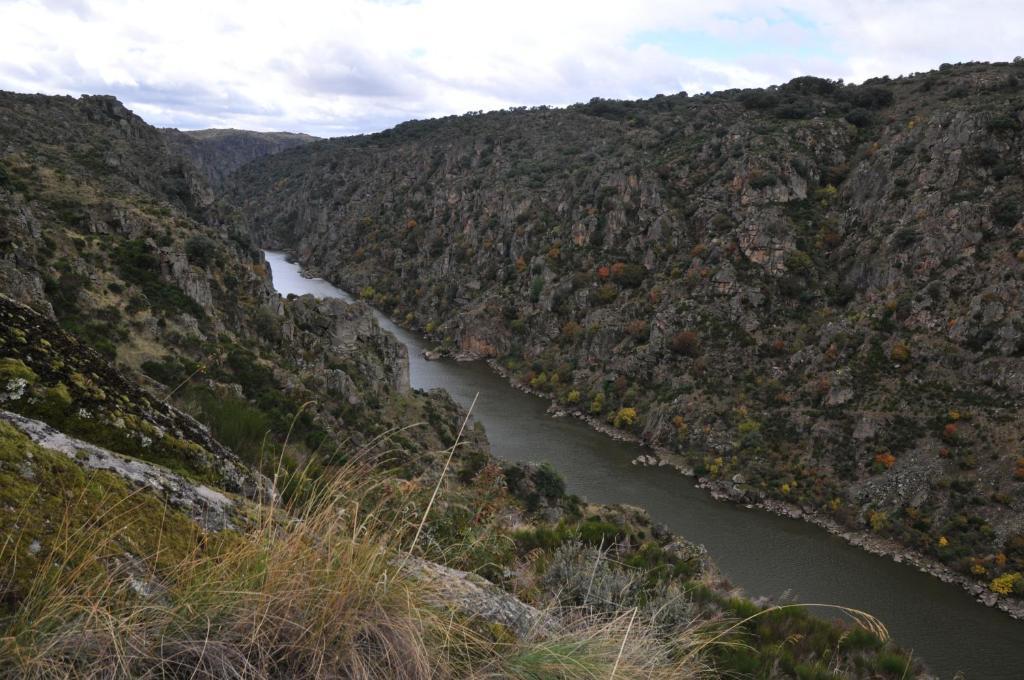 Posada Real La Mula De Los Arribes Villardiegua de la Ribera ภายนอก รูปภาพ