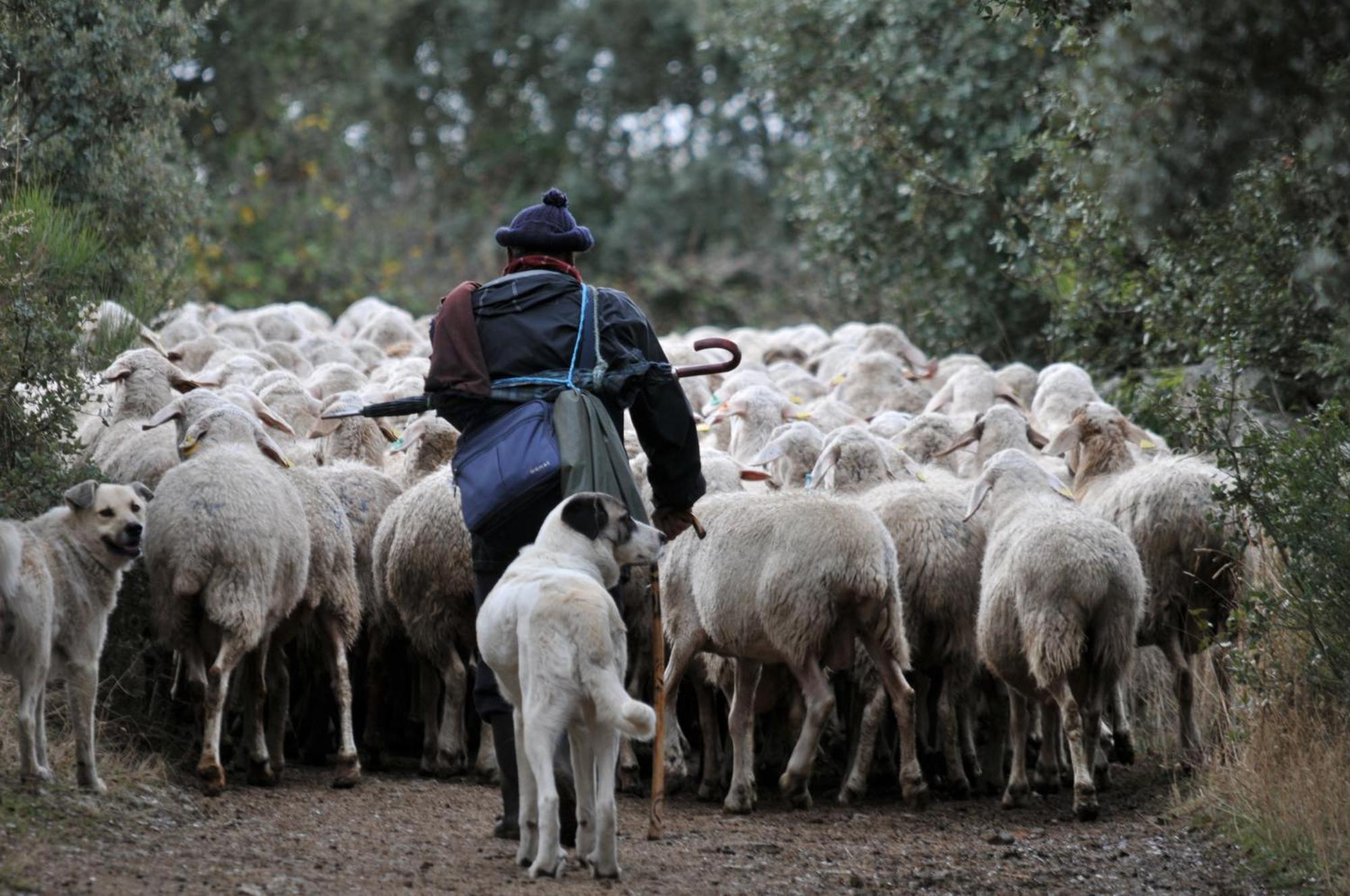 Posada Real La Mula De Los Arribes Villardiegua de la Ribera ภายนอก รูปภาพ