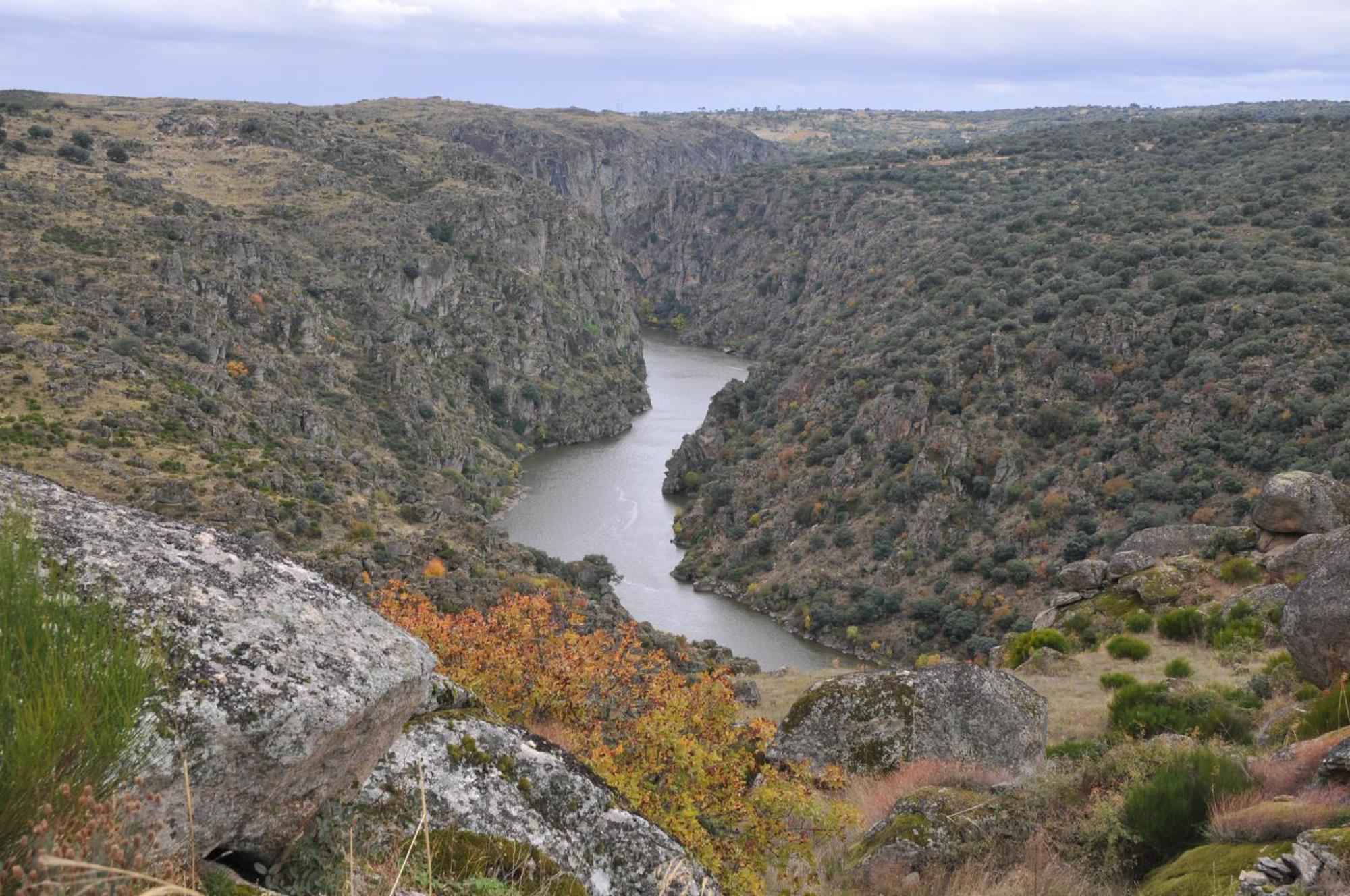 Posada Real La Mula De Los Arribes Villardiegua de la Ribera ภายนอก รูปภาพ